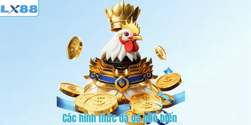 Các hình thức đá gà phổ biến