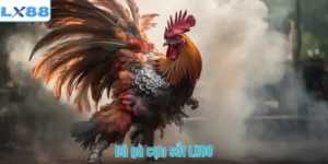 Đá gà cựa sắt LX88