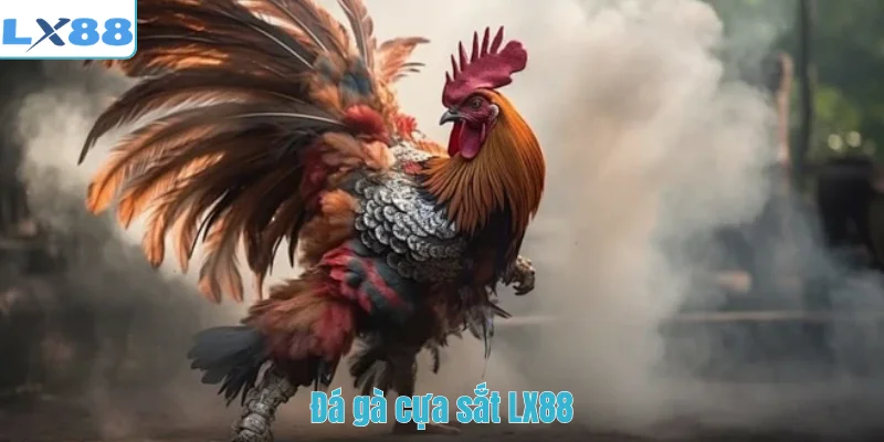 Đá gà cựa sắt LX88