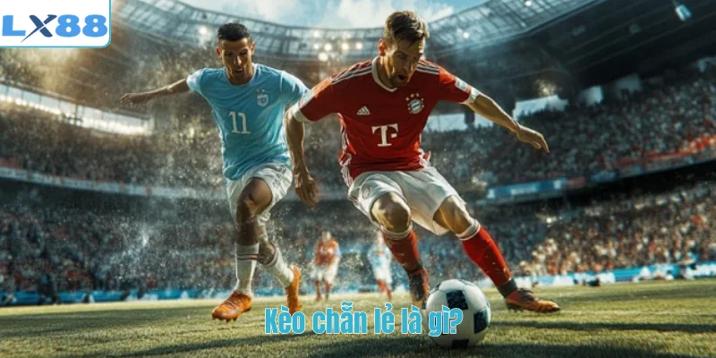 Kèo chẵn lẻ là gì?
